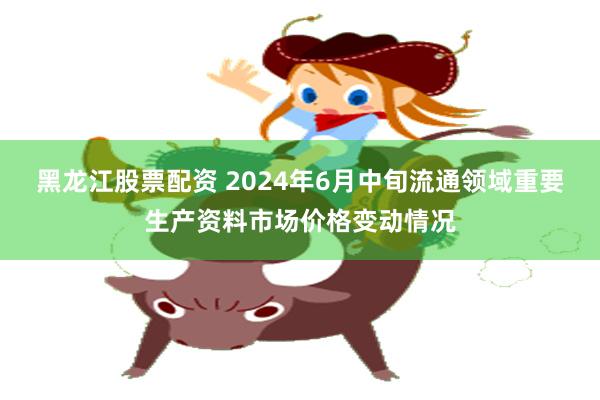 黑龙江股票配资 2024年6月中旬流通领域重要生产资料市场价格变动情况