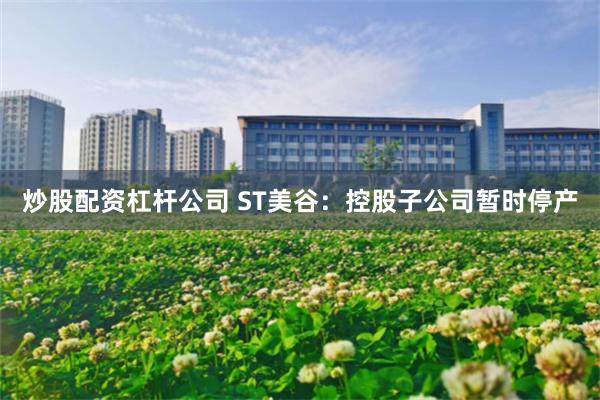 炒股配资杠杆公司 ST美谷：控股子公司暂时停产