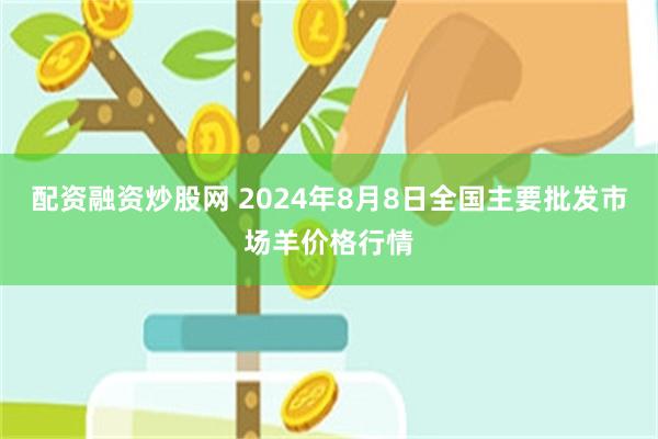 配资融资炒股网 2024年8月8日全国主要批发市场羊价格行情