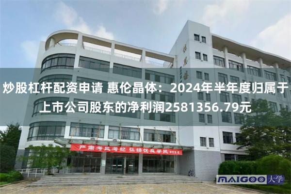 炒股杠杆配资申请 惠伦晶体：2024年半年度归属于上市公司股东的净利润2581356.79元