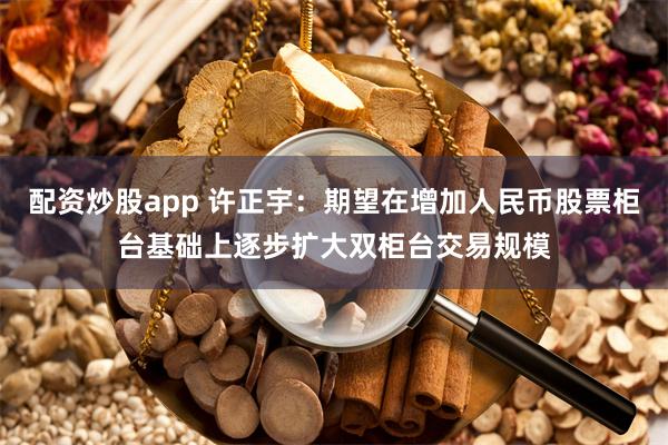 配资炒股app 许正宇：期望在增加人民币股票柜台基础上逐步扩大双柜台交易规模