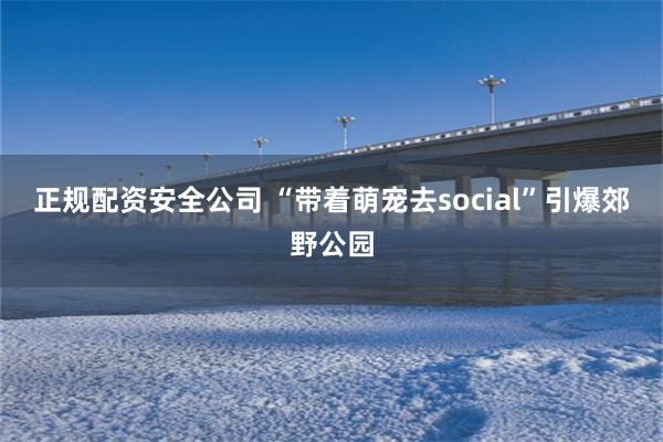 正规配资安全公司 “带着萌宠去social”引爆郊野公园