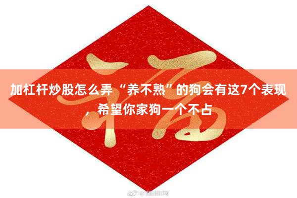 加杠杆炒股怎么弄 “养不熟”的狗会有这7个表现，希望你家狗一个不占